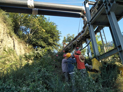 追趕超越，他們用行動爭做排頭兵