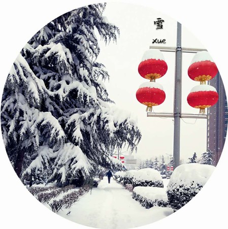 雪，寒冬里的溫柔