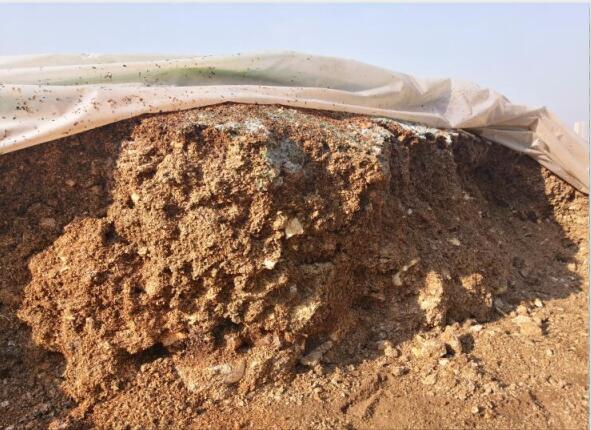 “廢料”變“肥料”，蘑菇包在土壤改良中的應(yīng)用