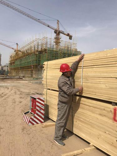 “百日會戰(zhàn)”中的銅煤建設(shè)人（七）