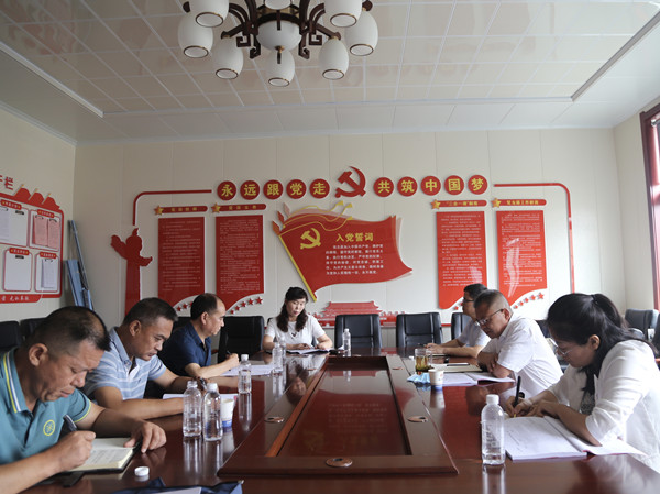 陜煤建設(shè)機電安裝公司召開黨支部標準化建設(shè)督導(dǎo)推進會