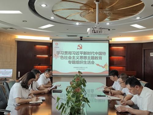 內(nèi)蒙古分公司組織召開主題教育專題組織生活會
