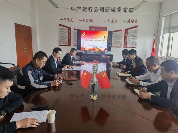 陜煤建設(shè)洗選煤運營公司神渭蒲城運營項目部： 開展“黨員帶頭查安全 排查隱患防風險”主題黨日活動