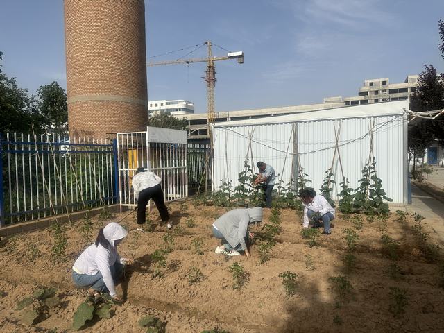 陜煤建設韓城分公司土建六項目部：打造美麗的“花園”角落