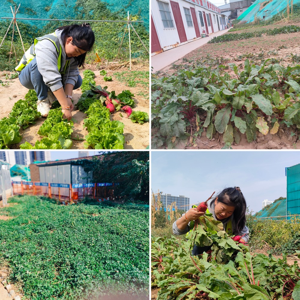 工地小菜園 溫馨家味道