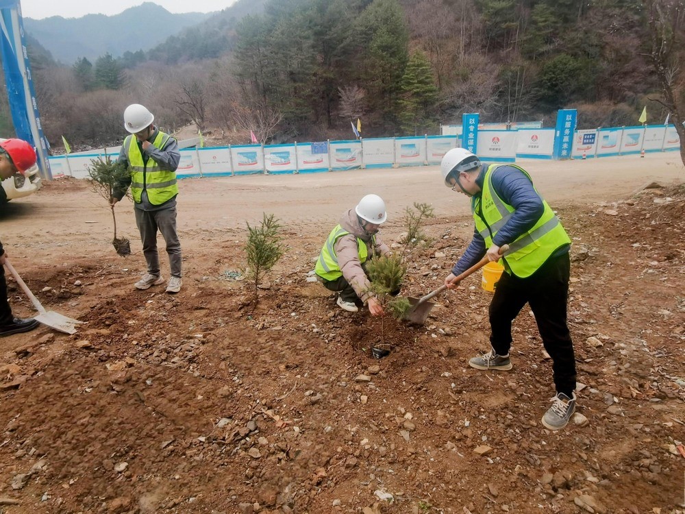 “植”此青綠，陜煤建設(shè)路橋分公司春風(fēng)十里添新林