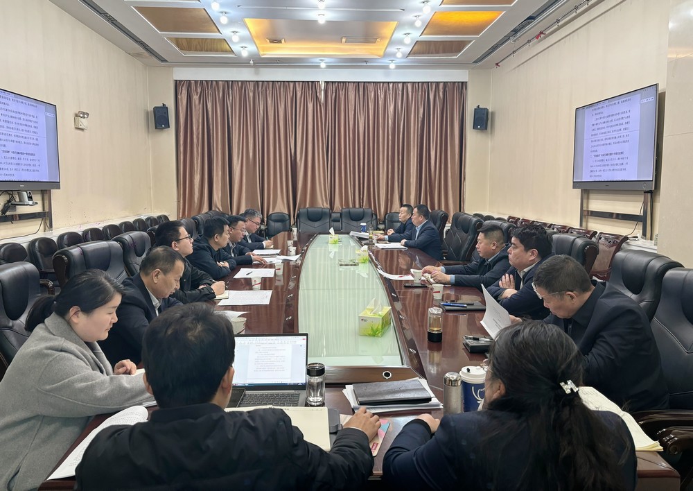 陜煤建設(shè)召開(kāi)2025年第一次四張清單推進(jìn)會(huì)