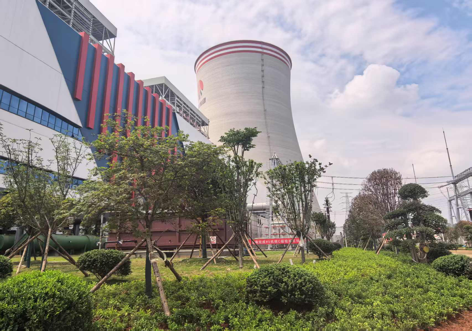 陜煤建設(shè)西北分公司：綠意盎然入電廠，生態(tài)建設(shè)譜新章