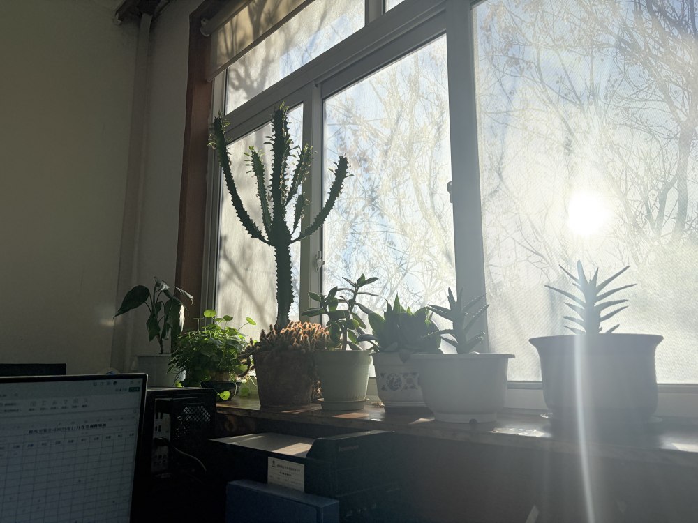 冬陽正好，步履鏗鏘